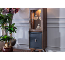 Одностворчатый шкаф витрина для посуды в гостиную Алегро ALEG-12 Одностворчатый шкаф витрина для посуды в гостиную Алегро ALEG-12